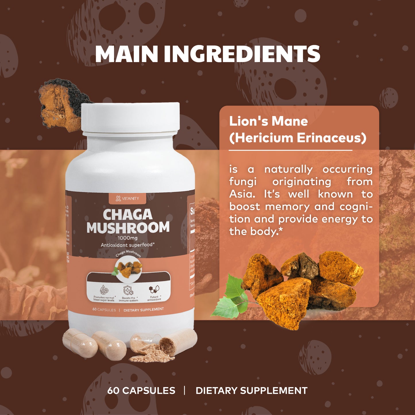 Chaga Mushroom – Immune & Gut Health Support