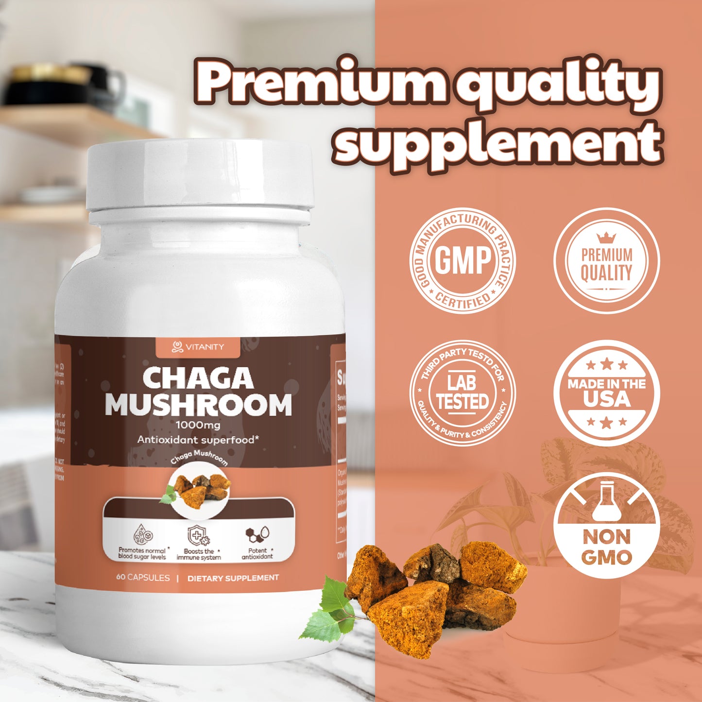 Chaga Mushroom – Immune & Gut Health Support