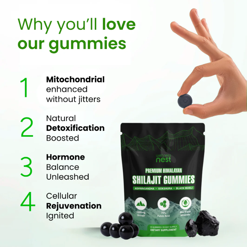 Premium Himalayan Shilajit Gummies - Test 2
