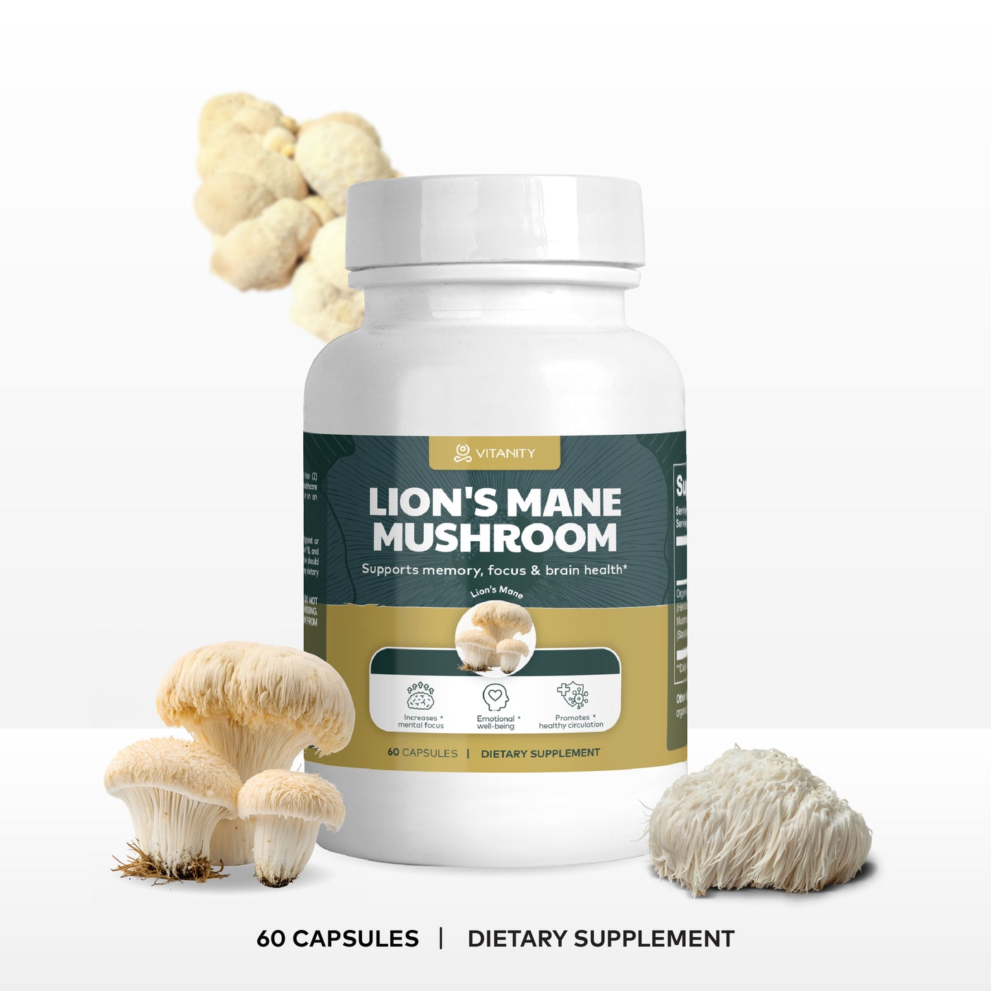 Lion’s Mane Mushroom – Brain Power & Cognitive Support