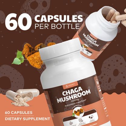 Chaga Mushroom – Immune & Gut Health Support