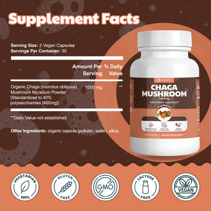 Chaga Mushroom – Immune & Gut Health Support