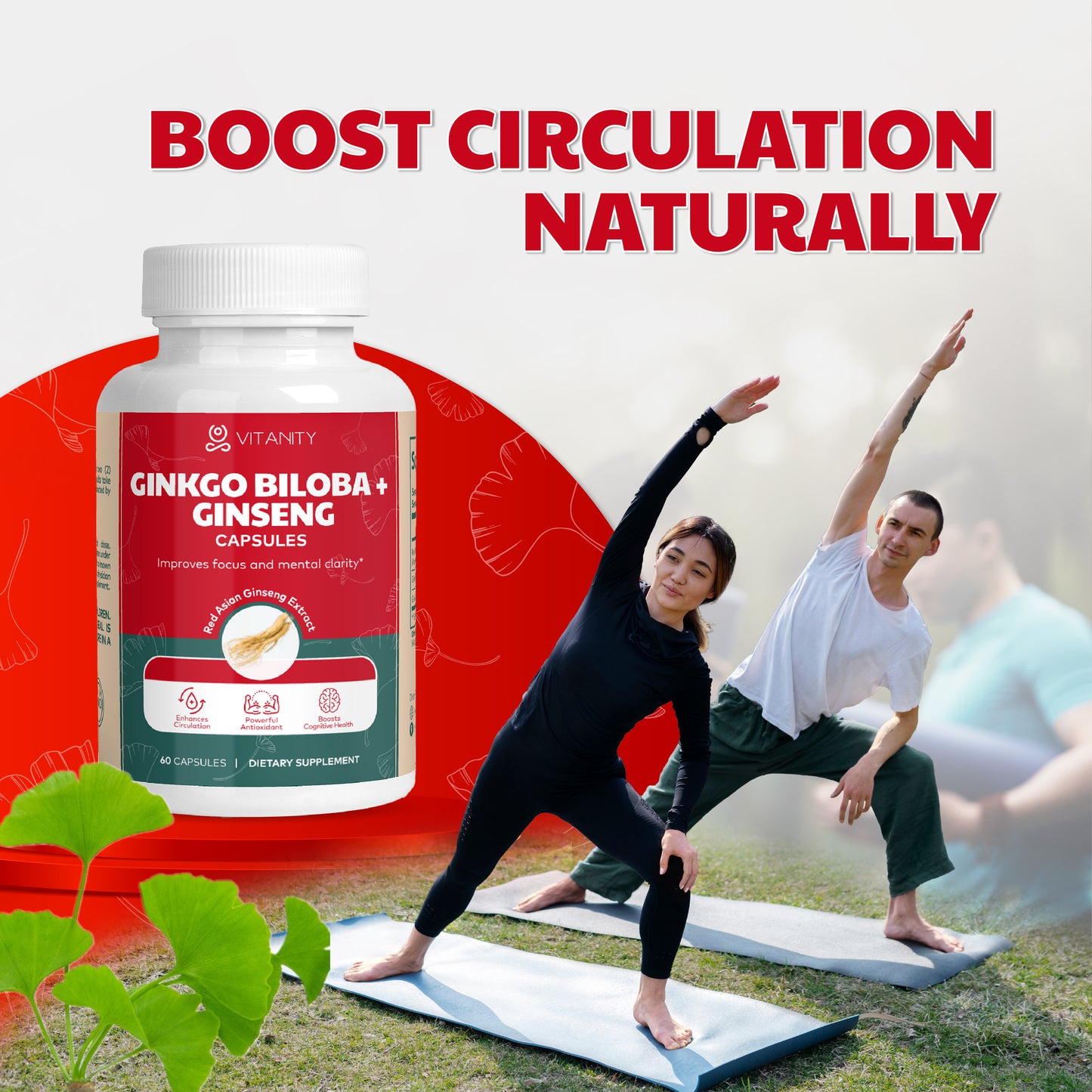 Ginkgo Biloba & Ginseng - Herbal Wellness & Brain Support
