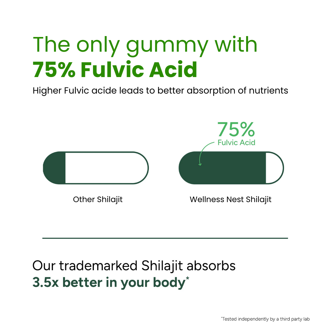 Premium Himalayan Shilajit Gummies - Test 2