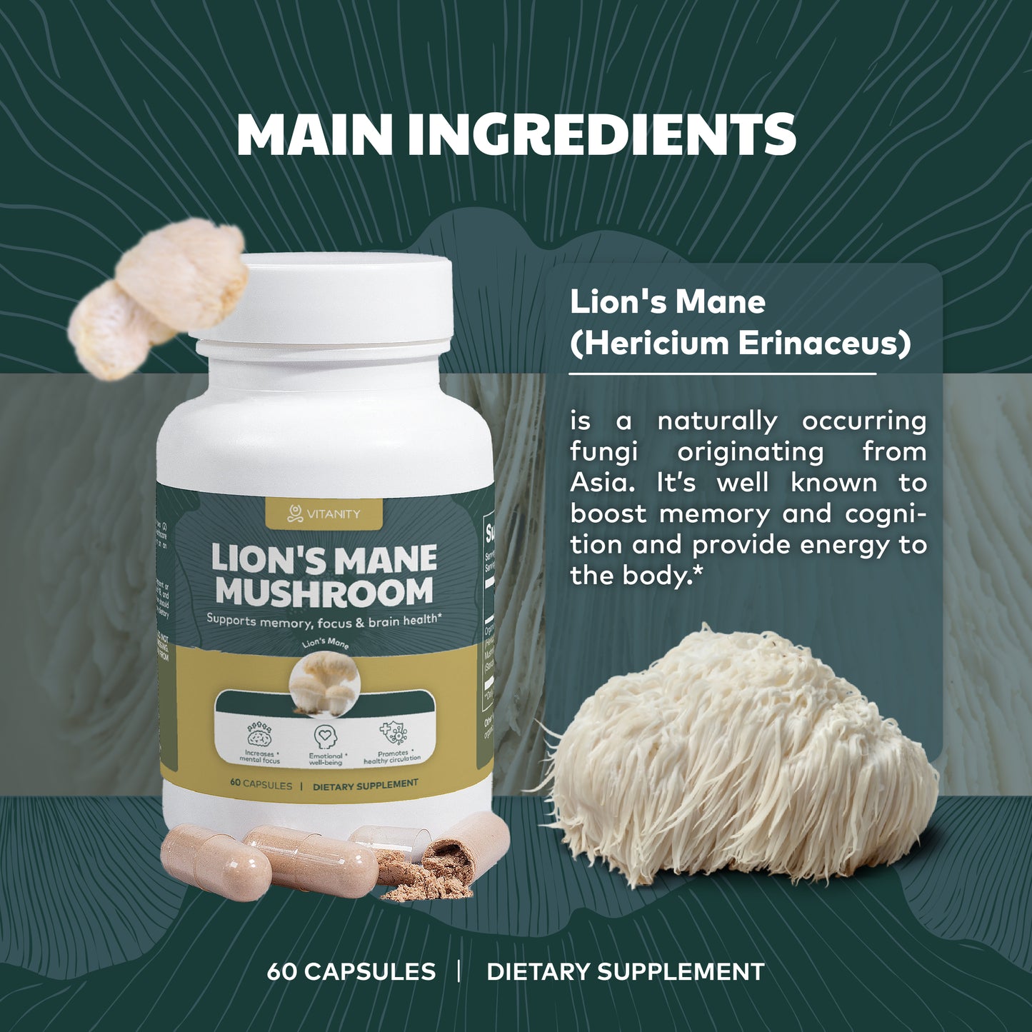 Lion’s Mane Mushroom – Brain Power & Cognitive Support