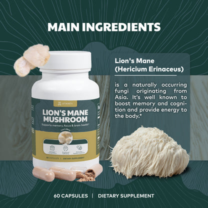 Lion’s Mane Mushroom – Brain Power & Cognitive Support