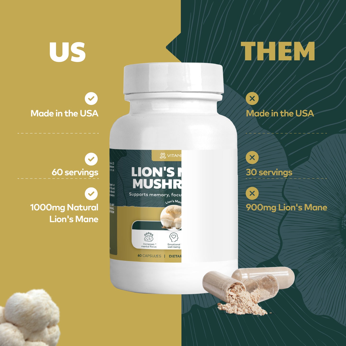 Lion’s Mane Mushroom – Brain Power & Cognitive Support