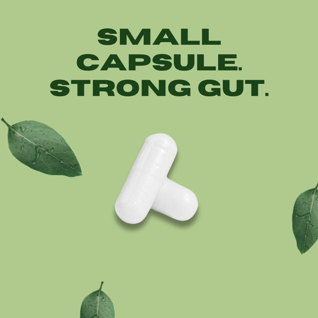 Probiotic 40 Billion with Prebiotics