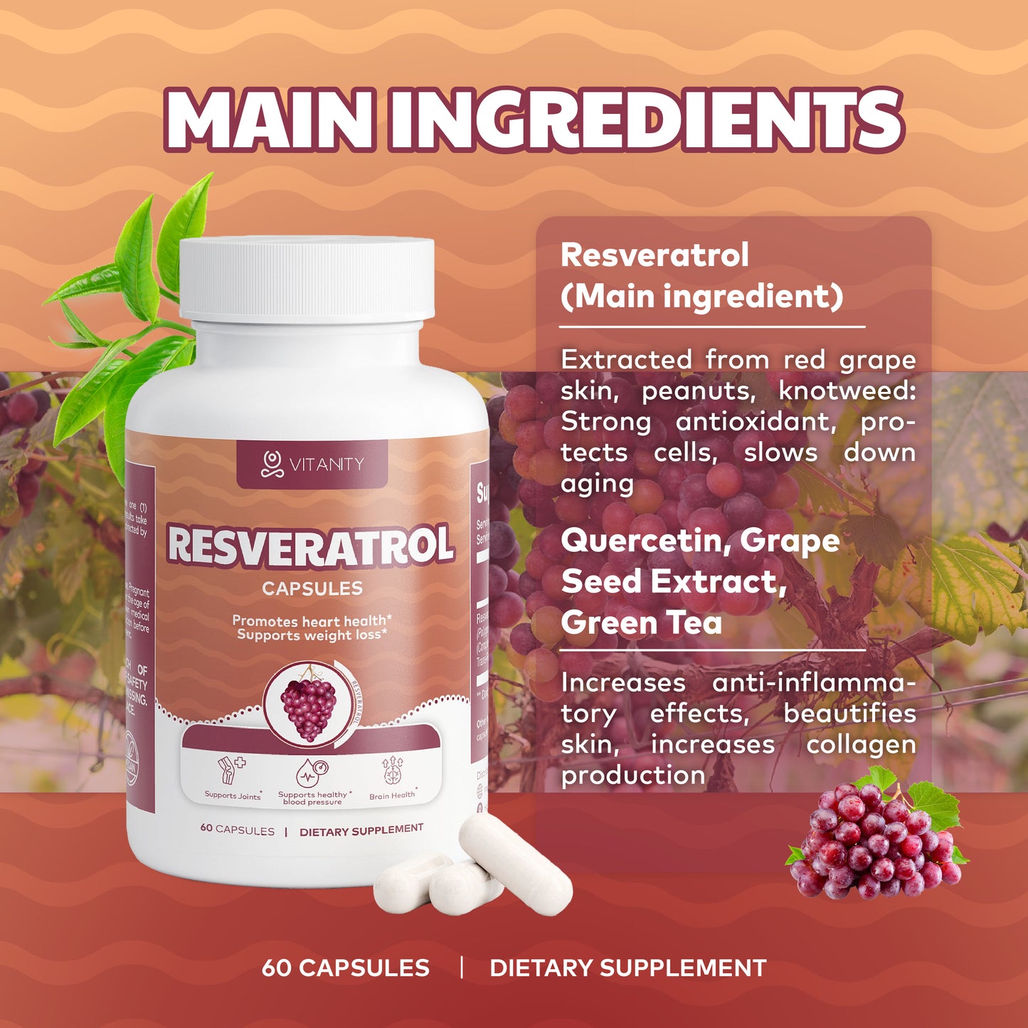 Resveratrol Healthy Aging & Circulation Formula